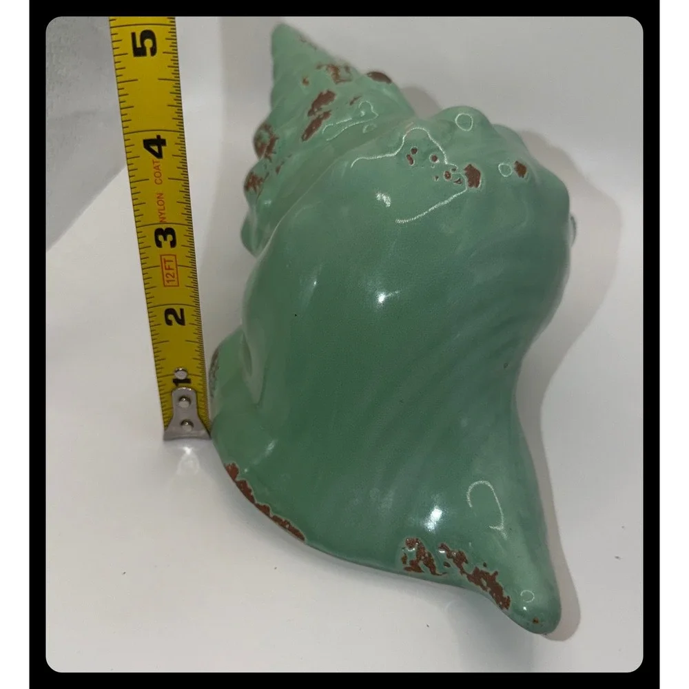 Unbranded conch shell